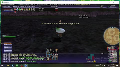 Playing Final Fantasy XI Online