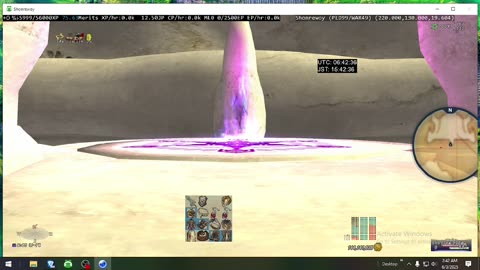 Playing Final Fantasy XI Online