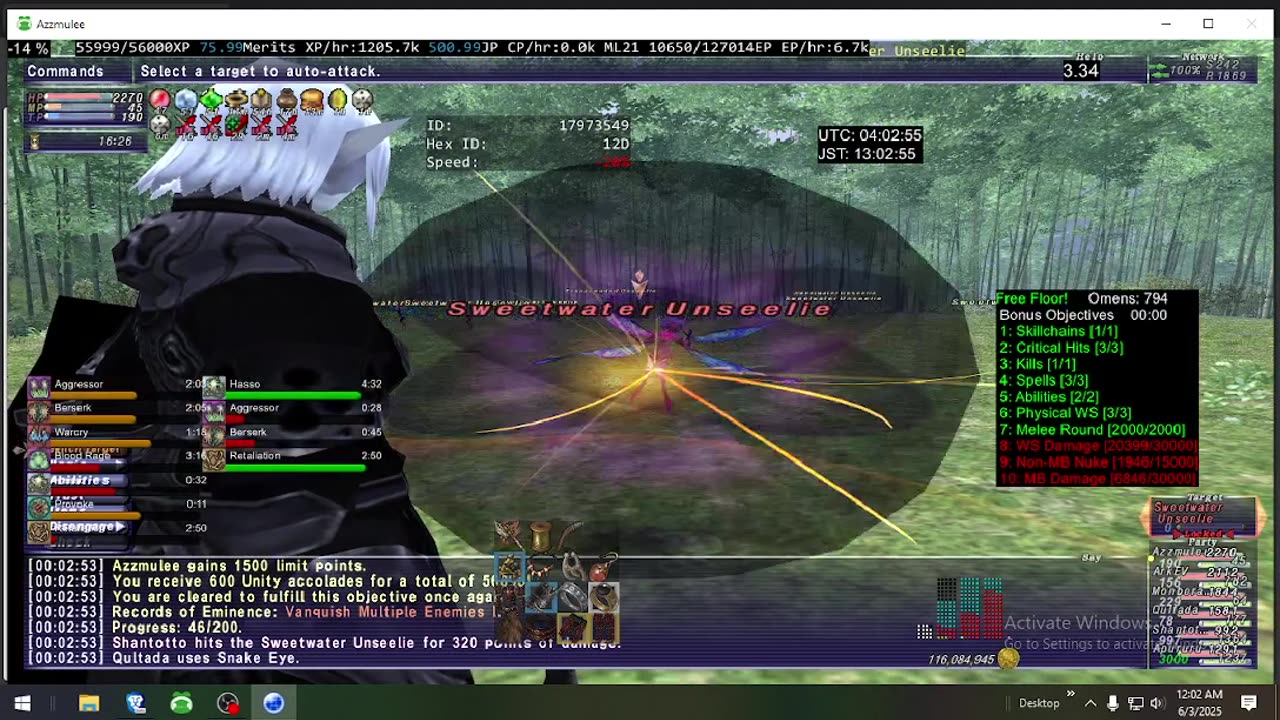 Playing Final Fantasy XI Online