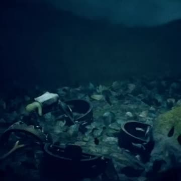 dark forest full of traps))) #gaming #crazy #fear #forest #creepy #horror #littlenightmares2