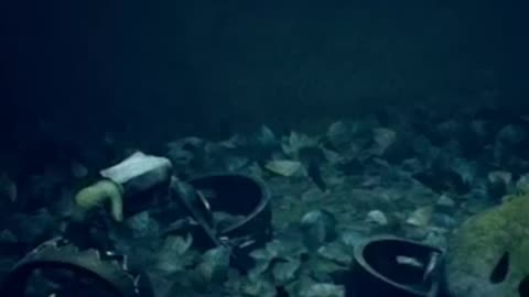 dark forest full of traps))) #gaming #crazy #fear #forest #creepy #horror #littlenightmares2