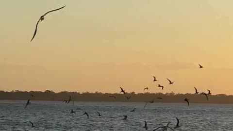 🌬️ Breathe In Calm | 432Hz Grabovoi Frequency for Peace & Inner Strength