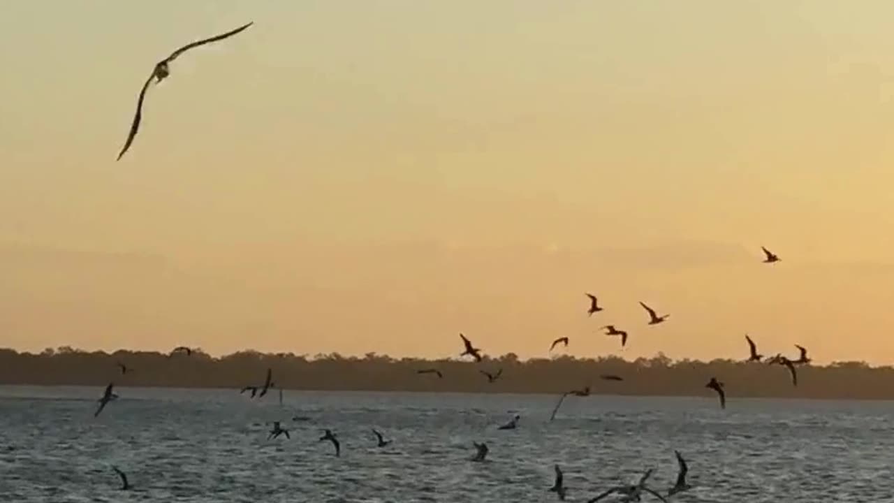 🌬️ Breathe In Calm | 432Hz Grabovoi Frequency for Peace & Inner Strength