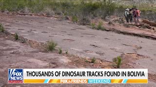 The world’s largest dinosaur track site, possibly 66 million years old, discovered in Bolivia.