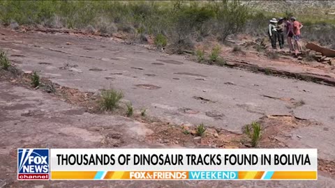 The world’s largest dinosaur track site, possibly 66 million years old, discovered in Bolivia.
