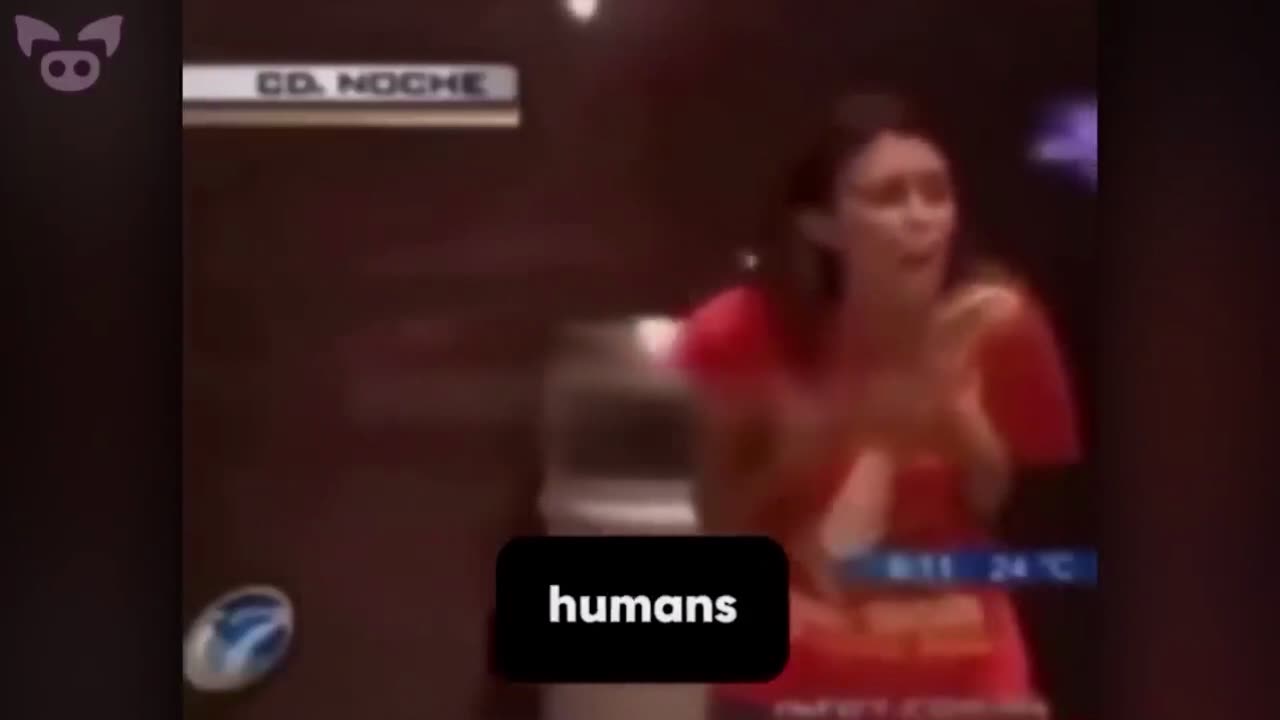 (((They Ate Humans)))