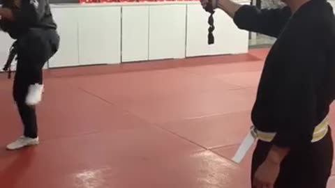 Jump Spinning Heel Kick