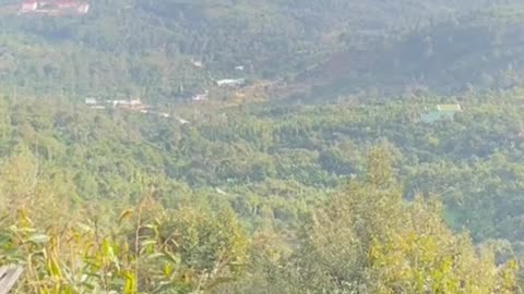 God Please, let’s finally bring liberation, freedom, light, love, peace and wealth to this world.