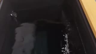 Islam Makhachev Says American Saunas Can’t Compare to Russia