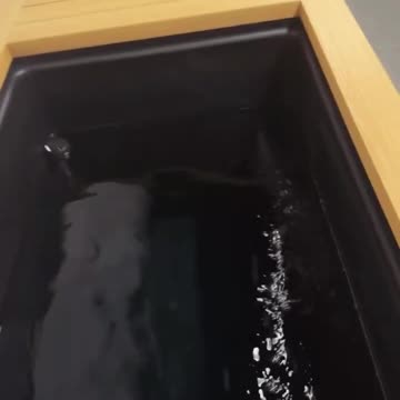 Islam Makhachev Says American Saunas Can’t Compare to Russia