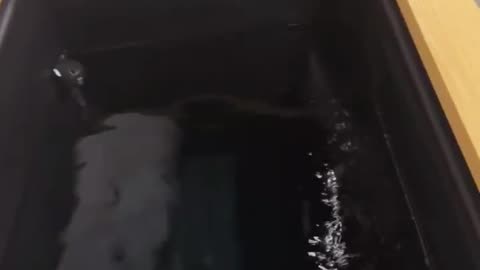 Islam Makhachev Says American Saunas Can’t Compare to Russia