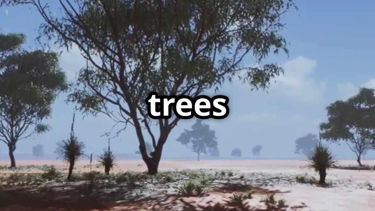 🌳🐜 Ants & Acacia Trees Nature’s Ultimate Protection Pact 🛡️🌿