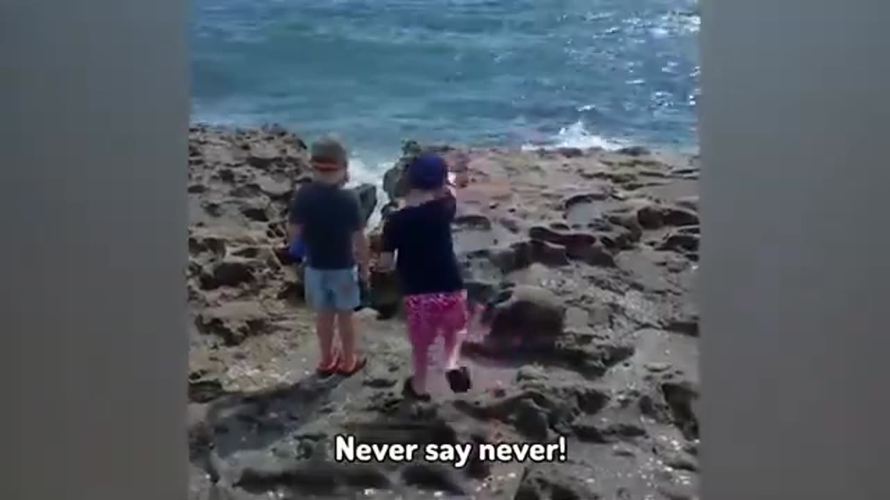 Funny video compilation (try not to laugh)