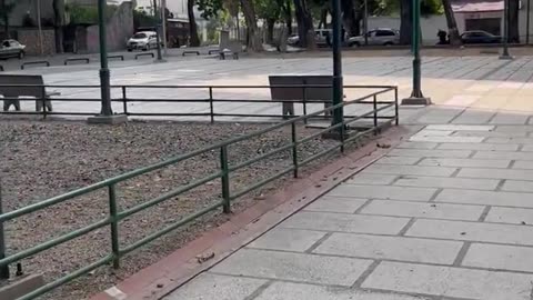 Orinoco Tribune - Reporting from Caracaas Jan. 5, 2025 3/3