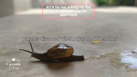 AITA for not asking my dad to let my mom use his apartment