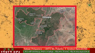 ነሐሴ 27-2025 ONM-ABO እለታዊ የኦሮሞ ነፃነት ሰራዊትና የኦሮሚያ ውሎ!