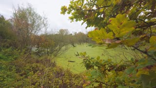 🎃🎶 Autumn's Unique Singing Voice! | FunFM