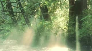 criando canal de musicas boa.mp4