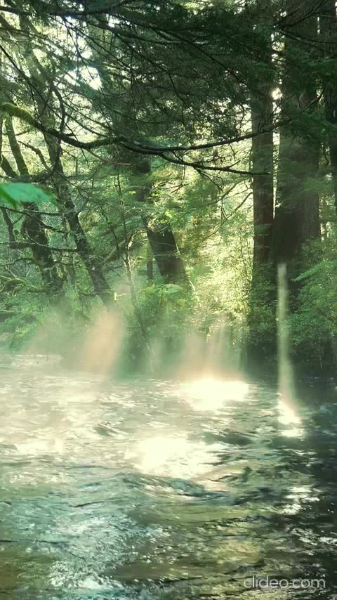 criando canal de musicas boa.mp4