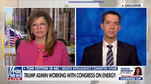 'THEY GOT THE PICTURE': Sen. Tom Cotton praises Trump's 'long overdue' Houthi airstrikes