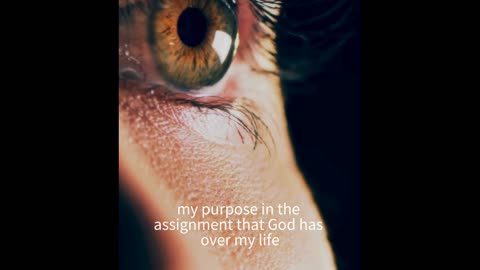God's Assignment
