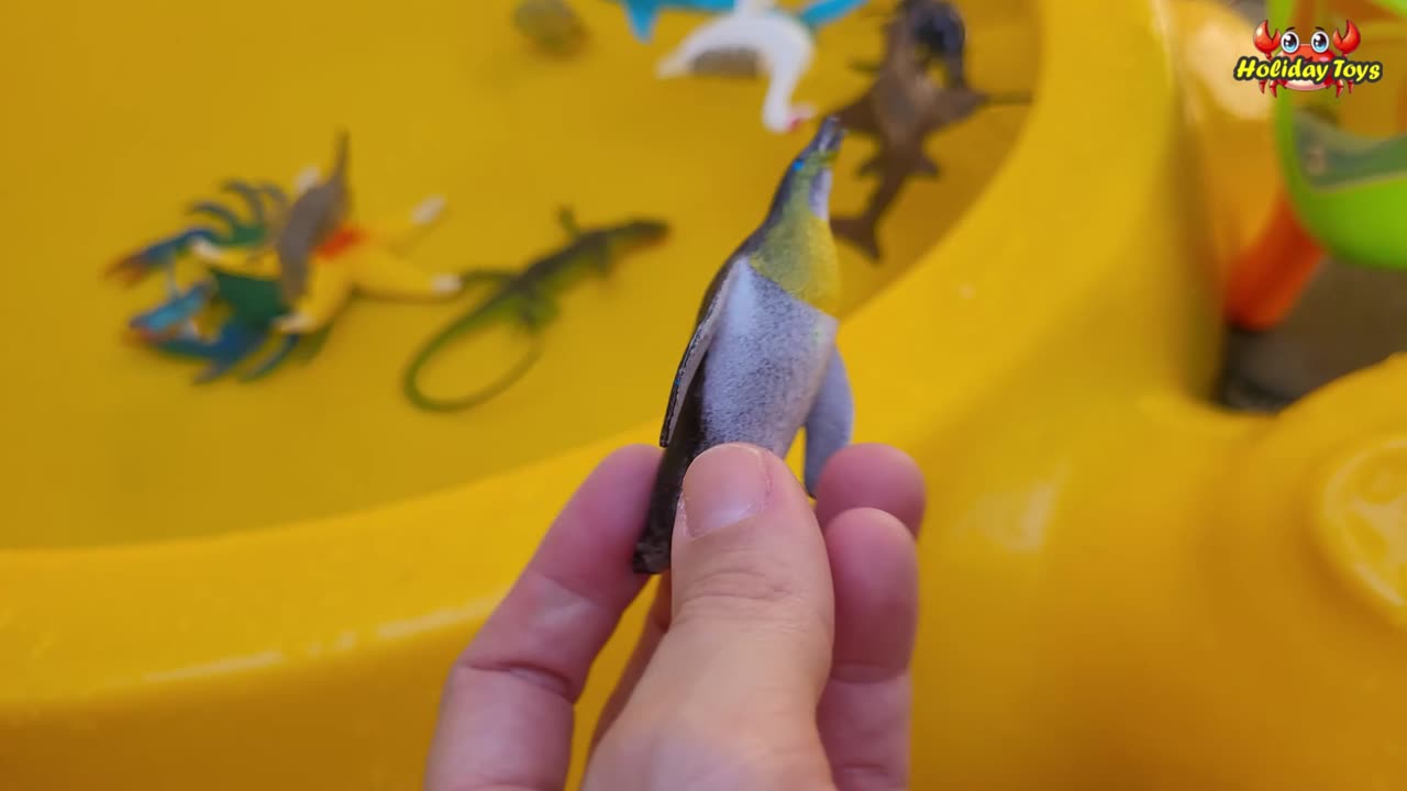 Swan is Very Happy Swimming in the Big Pond with Family