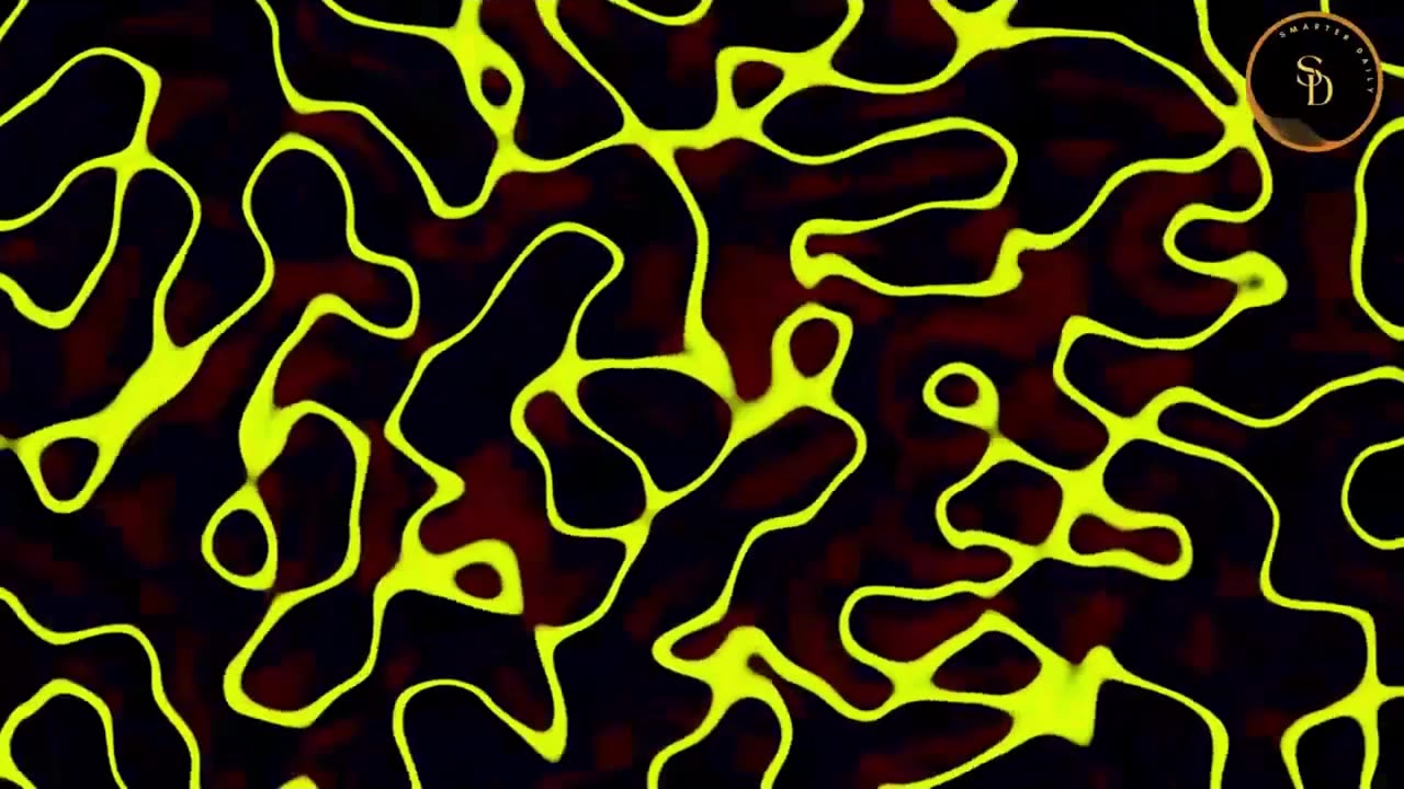 Discover the Stomach Brain: Your Second Brain!