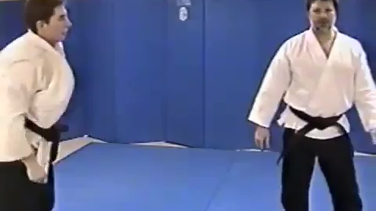 Shinsei Hapkido