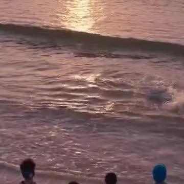 Beached Dolphin Pushback