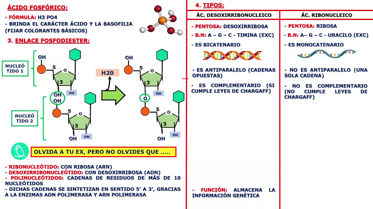 SAVIA REGULAR 2025 | Semana 03 | Biología