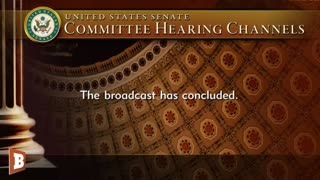 LIVE: Hearing to Examine Politically Motivated Violence...