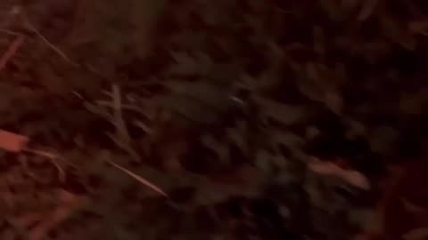 🚀🔥 Ukraine Russia War | Missile Strike Devastates Espanola Naval Base in Crimea | RCF