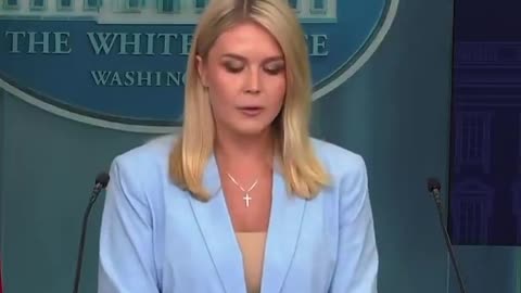 Karoline Leavitt announces that Newark Airport had ANOTHER terrifying computer glitch