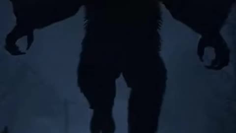 The Rise of Moth Man