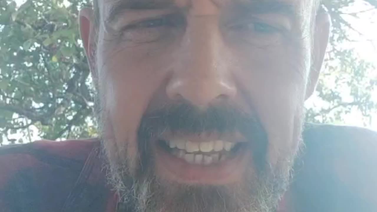 Gesundheit bei den Tieren