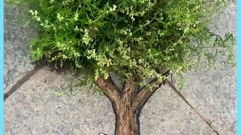 🎨🚶‍♂️ Mind-Blowing Sidewalk Art That Will Leave You Speechless! | FeedMyCuriosity