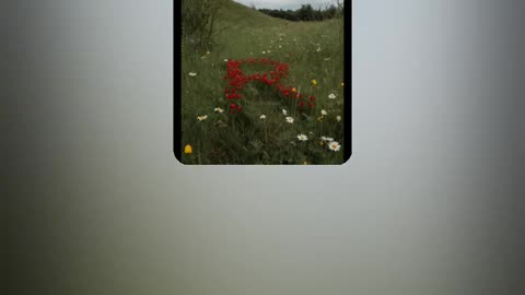 "Calm Midday Pastures" by RedSixerFan 12/26/25