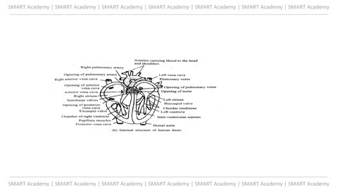 Plus Two Biology Exam Tips Part 5