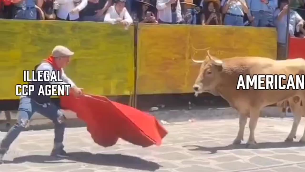 MAGA always on Target