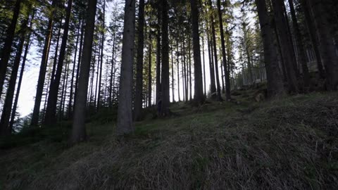 Messnerin Wandern Steiermark Hiking in Austria Steiermark wandern Steiermark