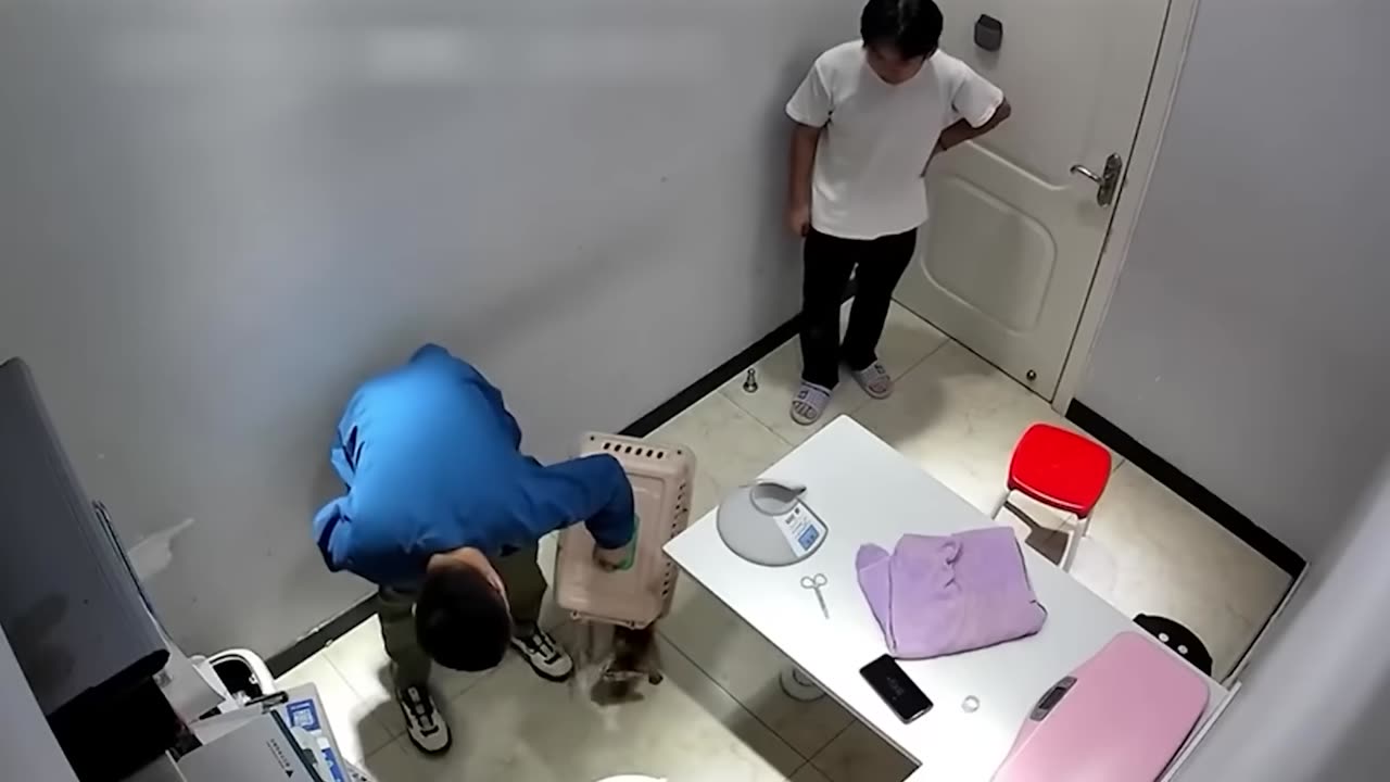 Caught in 4K! Funniest Security Camera Fails