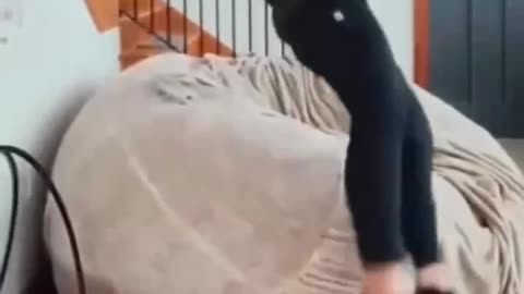 Coping their owners movement