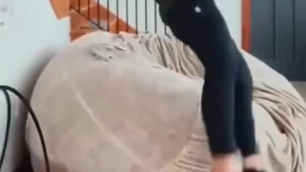 Coping their owners movement