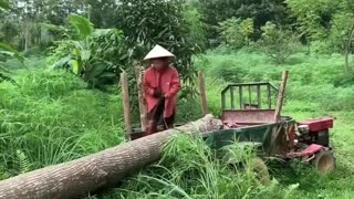 A beautiful strong lady Transporting wood alone in the mountains and fields