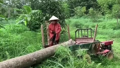 A beautiful strong lady Transporting wood alone in the mountains and fields