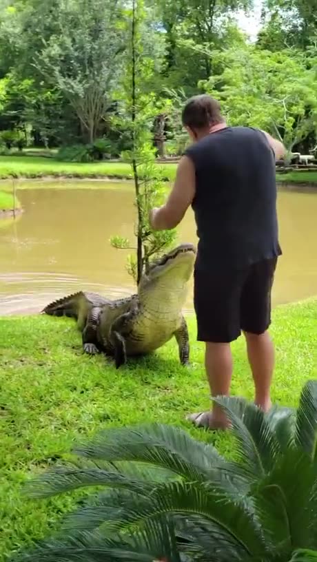 Feeding the strays 😱