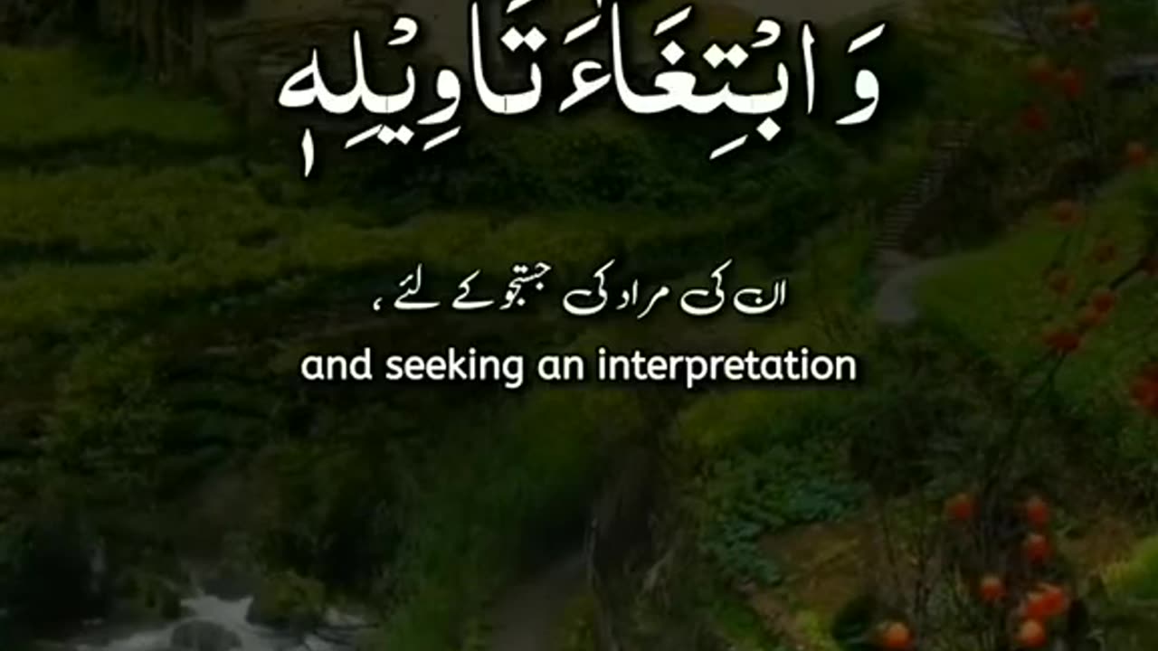 Aslme video