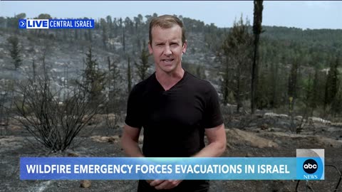 Firefighters battle wildfire in Israel