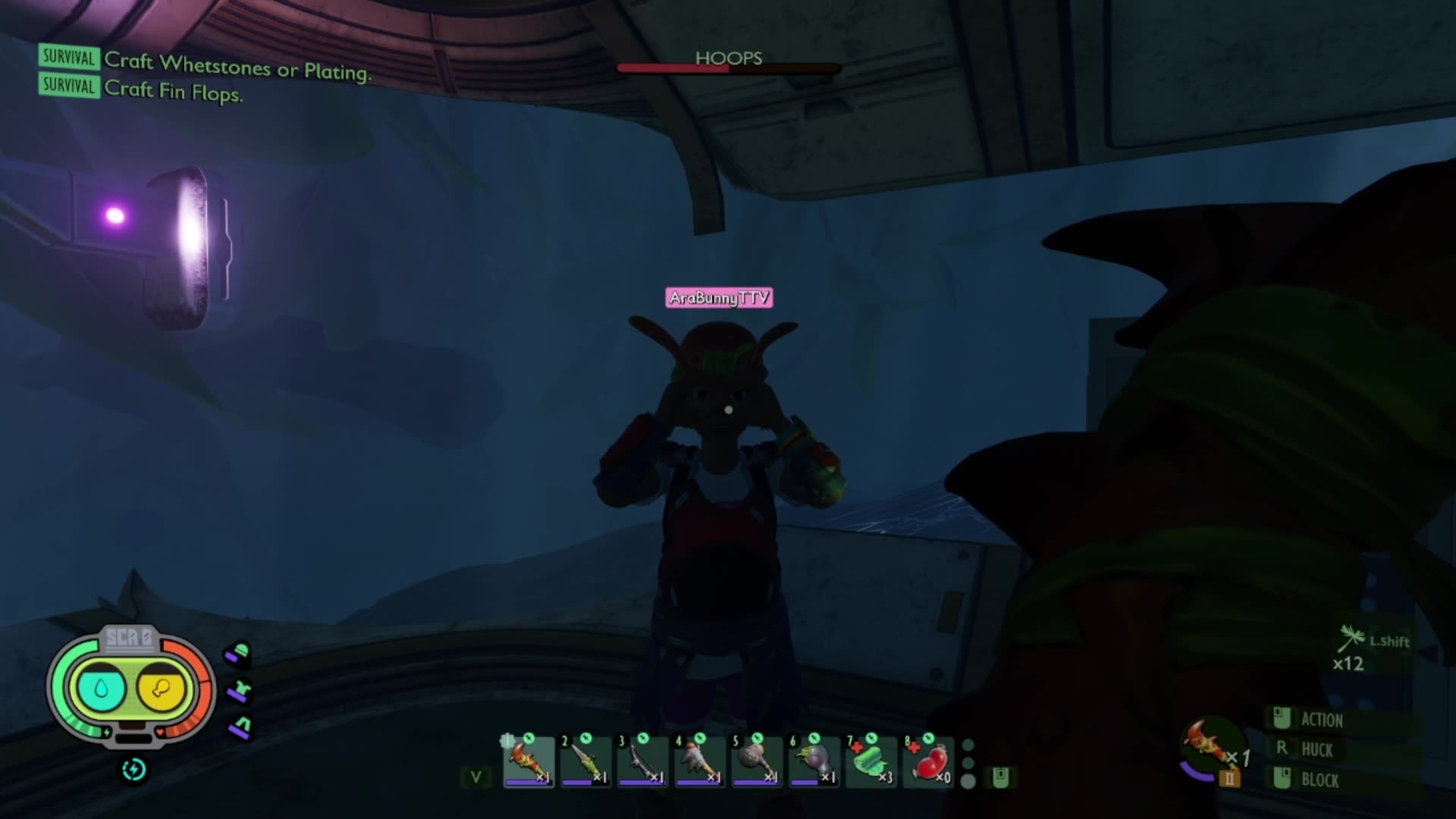 The Viewers Asked Me to Describe Love