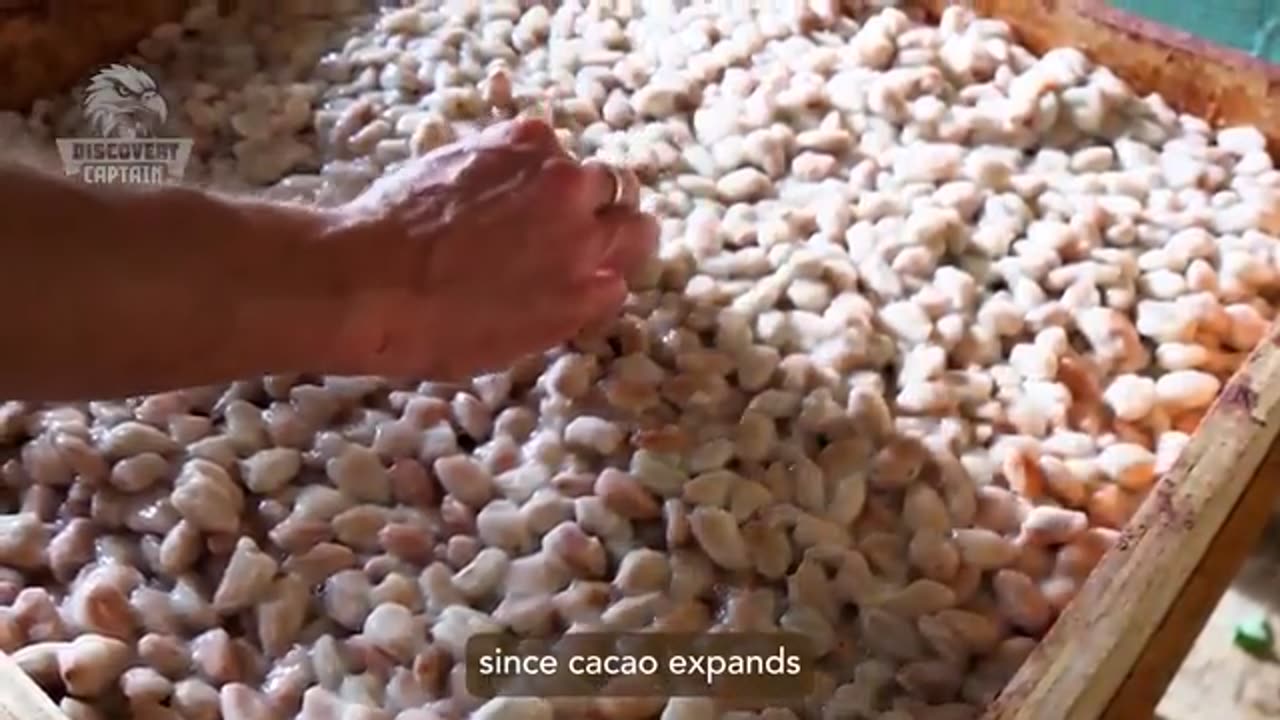 How It's Made: M&Ms, Chocolate, Yogurt, Lollipops